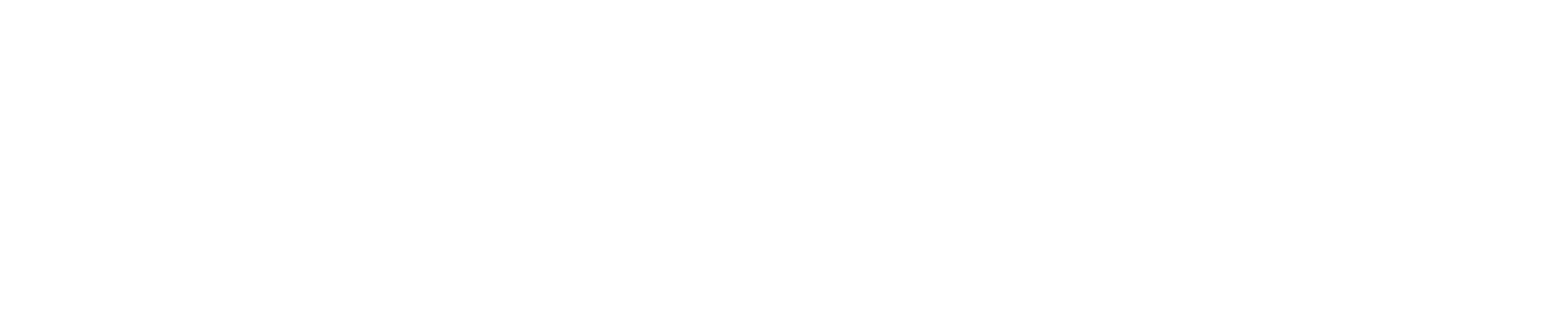 DiggerLid logo white