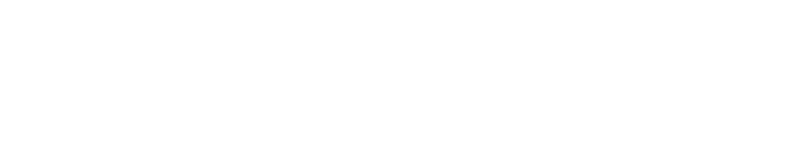 Maxisil Logo-Rev