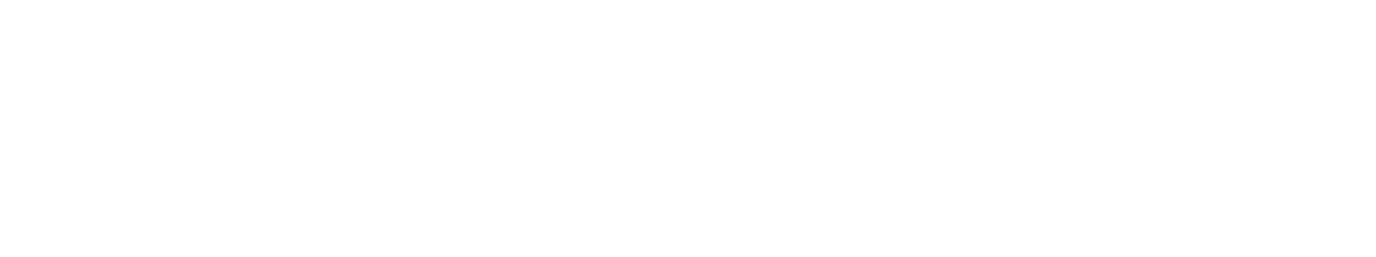 New Prorv Logo white