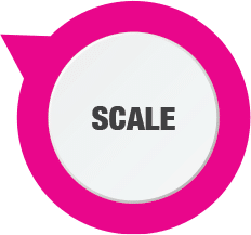 scale (1)
