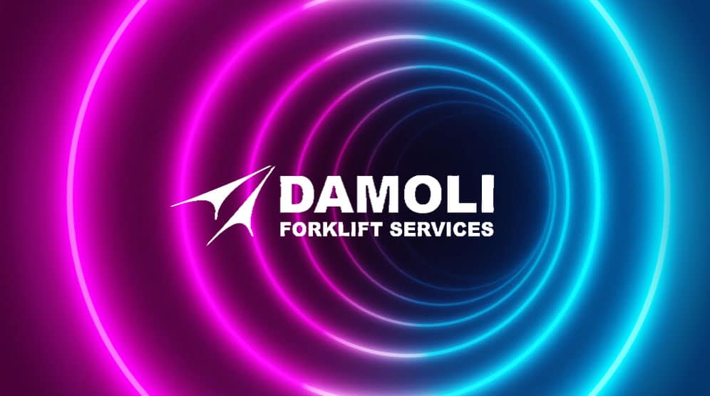 damoli_services_seo