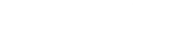 Maxisil