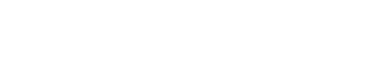 T. Ferdinand Leather Co